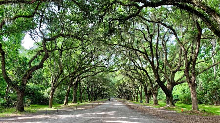 Savannah: Top 8 Most Famous Places to visit in Savannah, GA