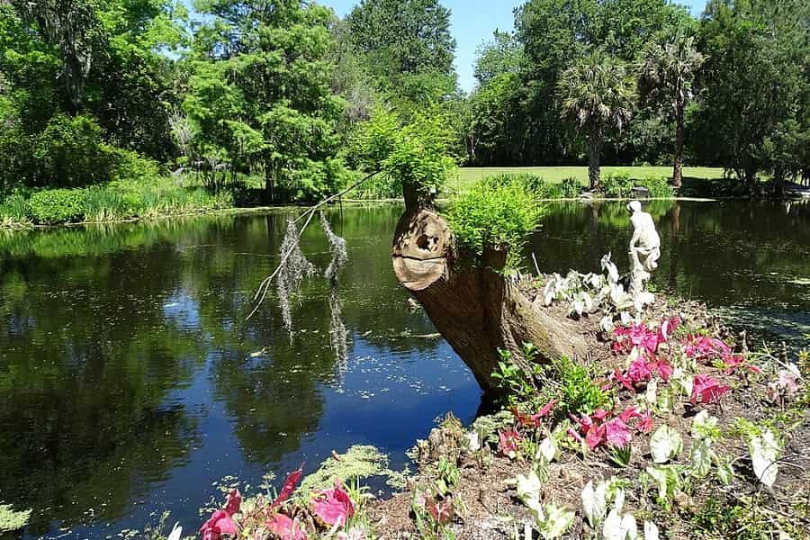 Magnolia Plantation and Gardens, South Carolina